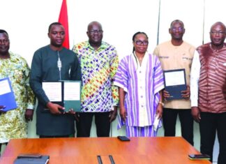 Burkina Faso / Diaspora Bonds : 85 milliards F CFA injectés dans SN BRAFASO, SOPAMIB et CIM SAHEL