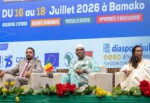 Forum international de la diaspora au Mali: le Burkina partage son expérience