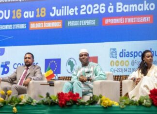 Forum international de la diaspora au Mali: le Burkina partage son expérience