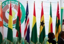 CEDEAO: Moscou cherche à renforcer sa coopération régionale