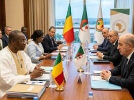 Sahel: l’Algérie se rapproche du Mali et du Niger